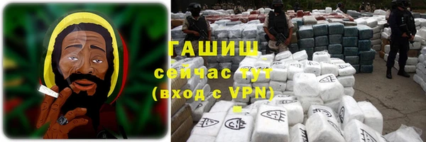 индика Аркадак