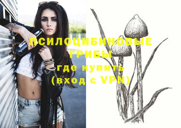 стафф Баксан
