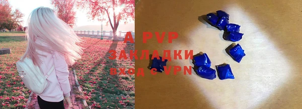 стафф Баксан