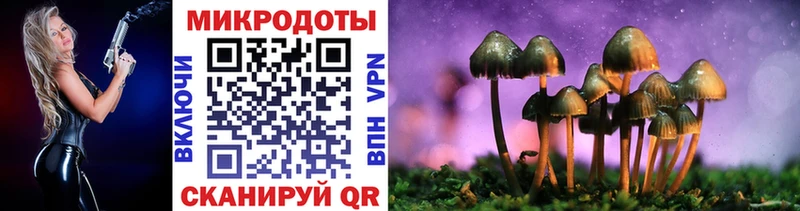 Псилоцибиновые грибы MAGIC MUSHROOMS  Новомичуринск 